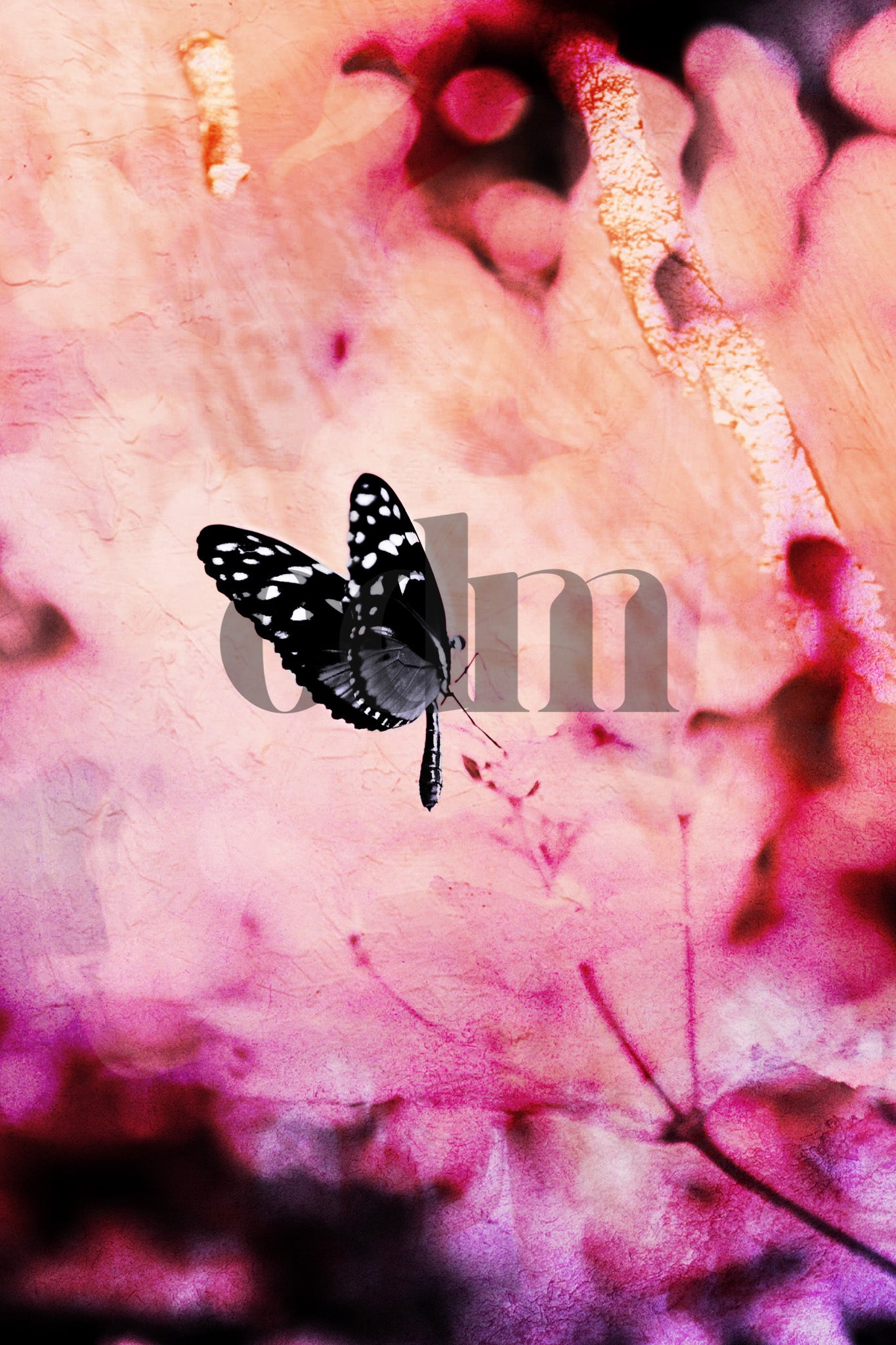 Schmetterling - Pink