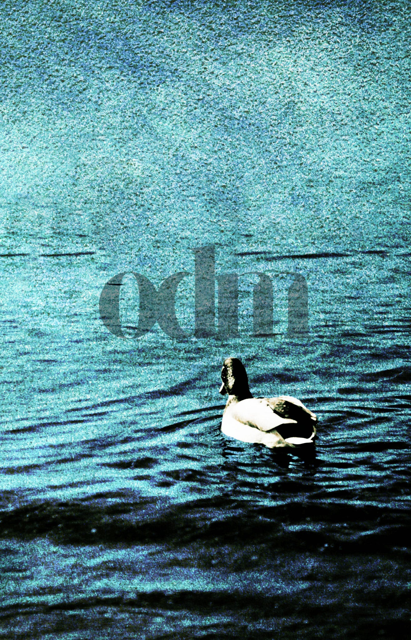 Nimm dir Zeit - Erpel