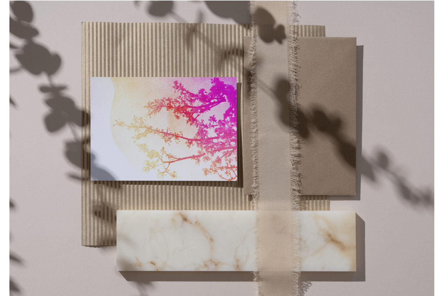 Apfelbaum-Pink-Orange