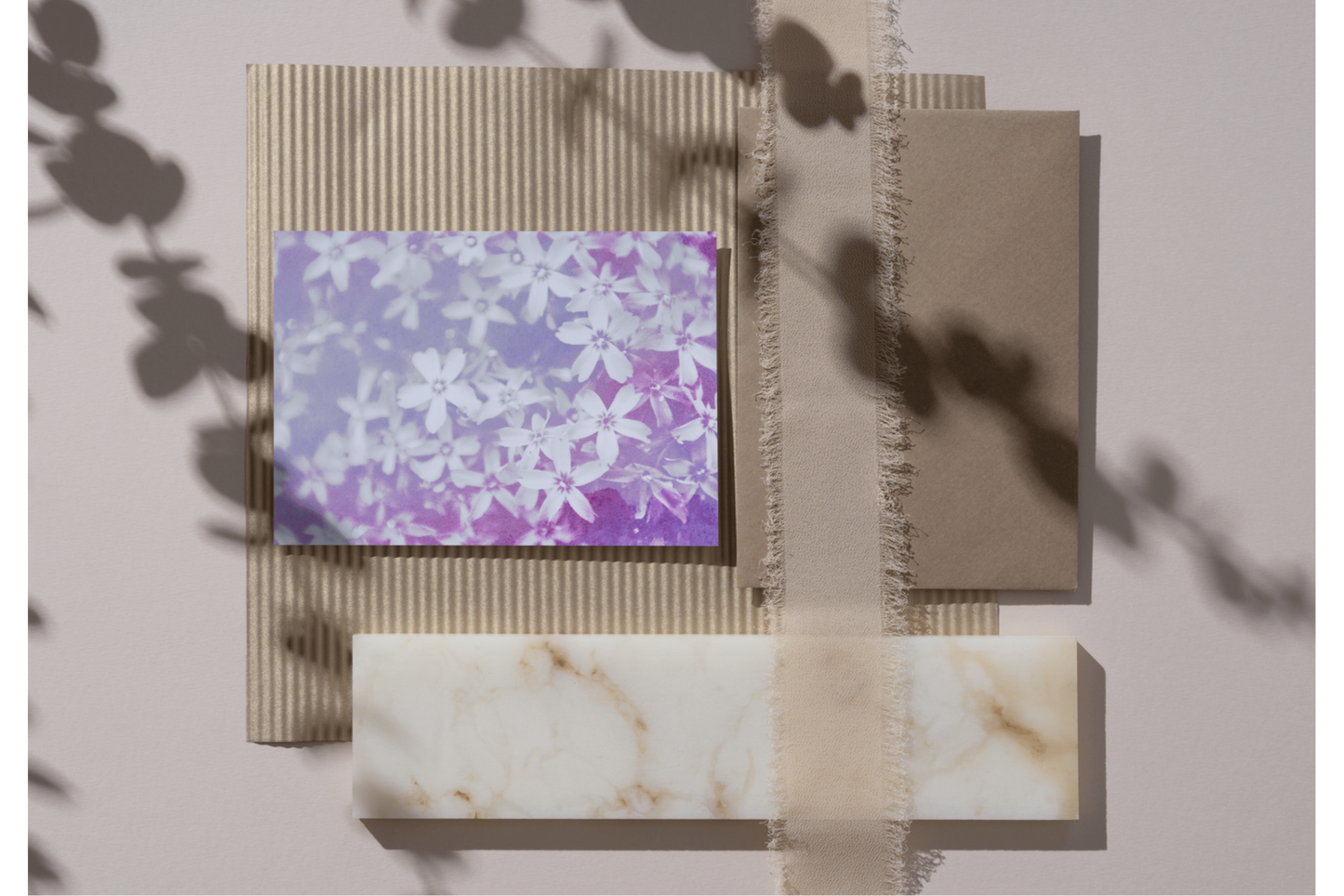 Polster - Phlox - Violett