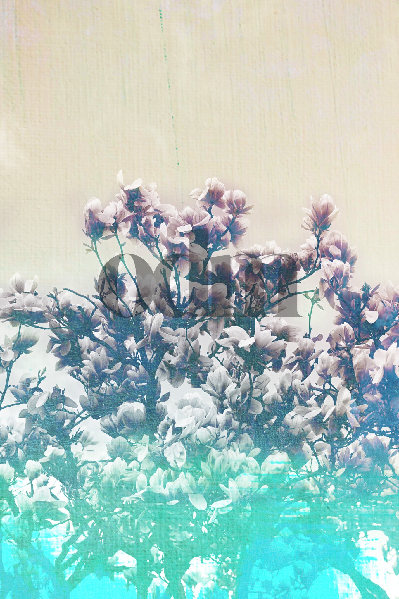 Magnolienbaum - Türkis