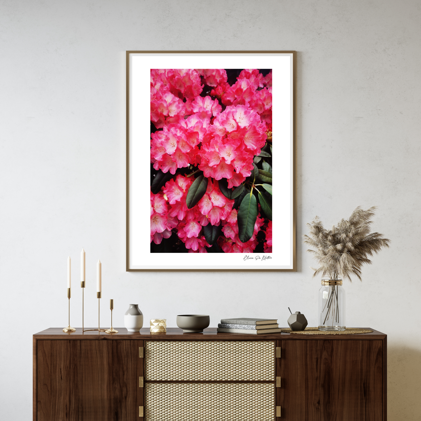 Rhododendron - Pink