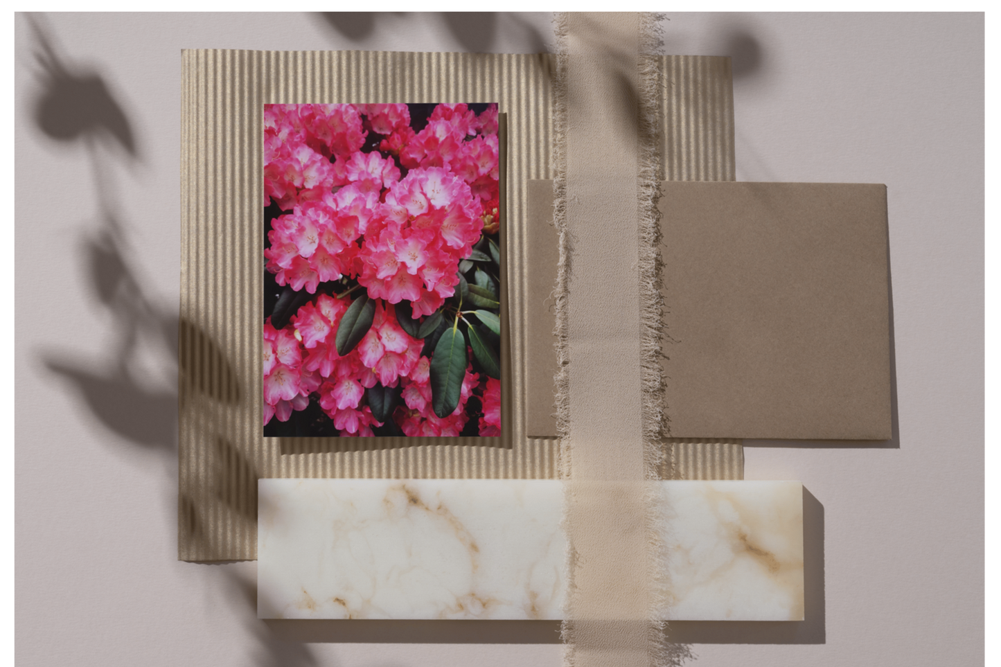 Postkarte Rhododendron Pink Ansicht
