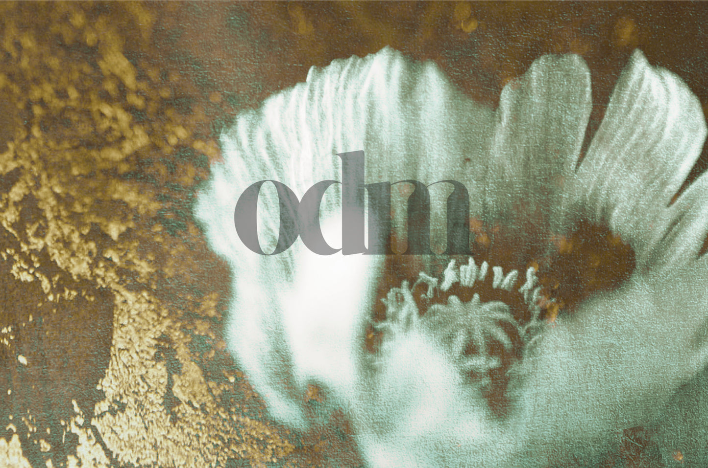 Postkarte_Mohn_gruen_gold