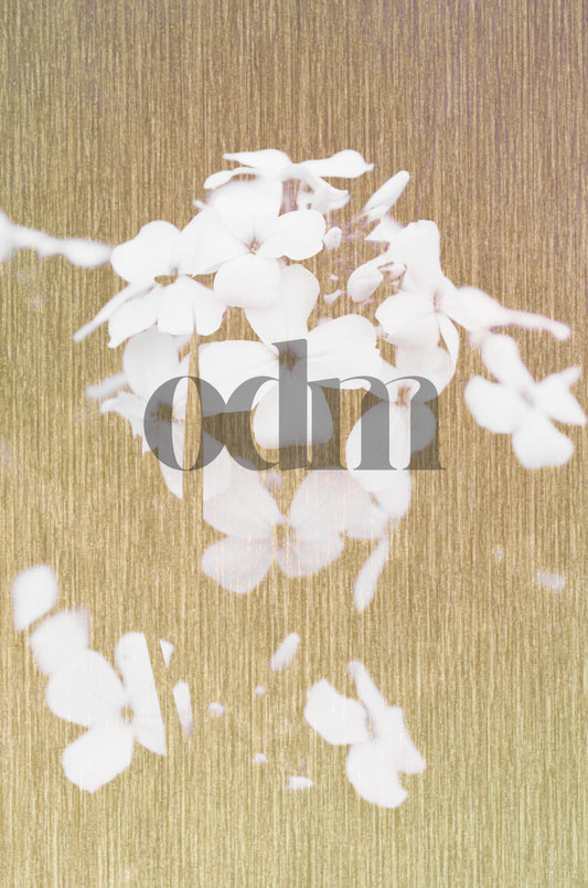 Blume-Weiss-Gold