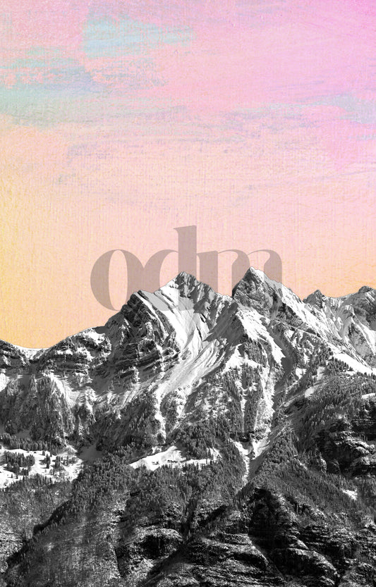 Sichelchamm - Cotton Candy