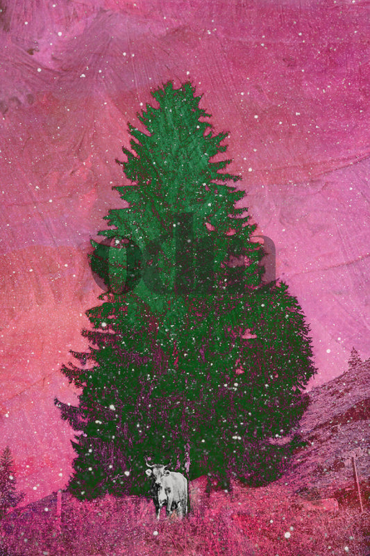 Kuh-Pink