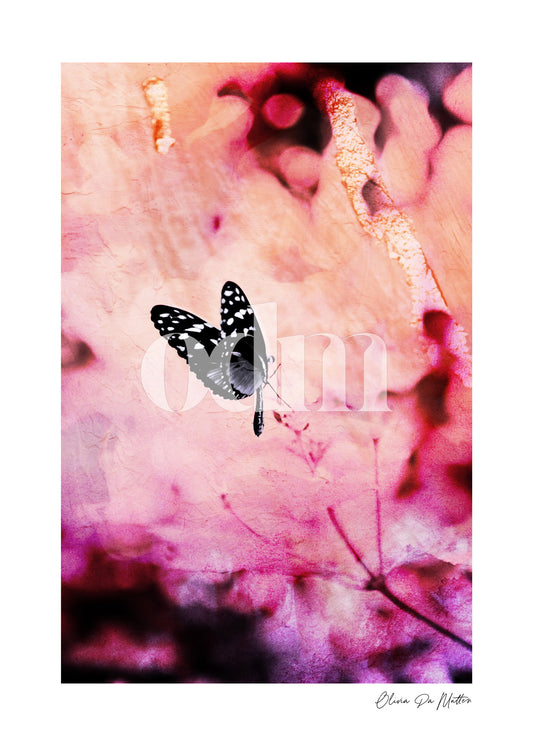 Schmetterling - Pink