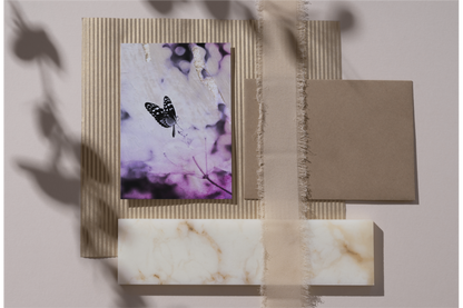Schmetterling - Violett