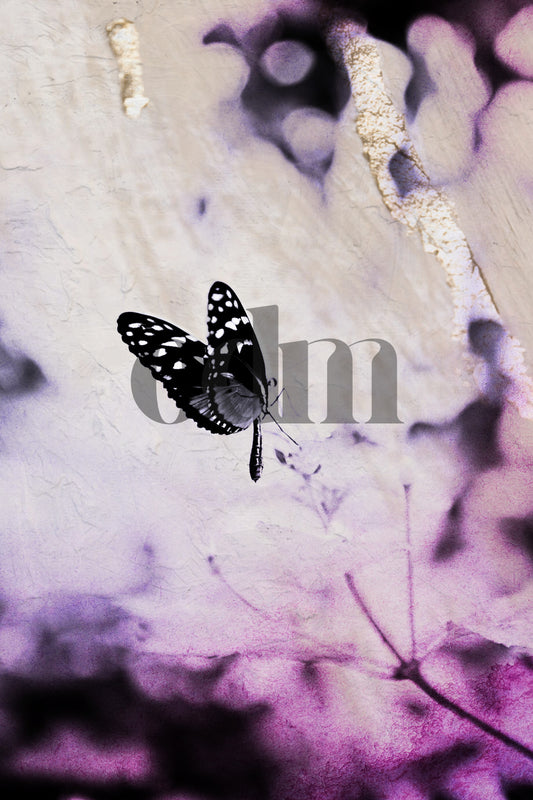Schmetterling - Violett