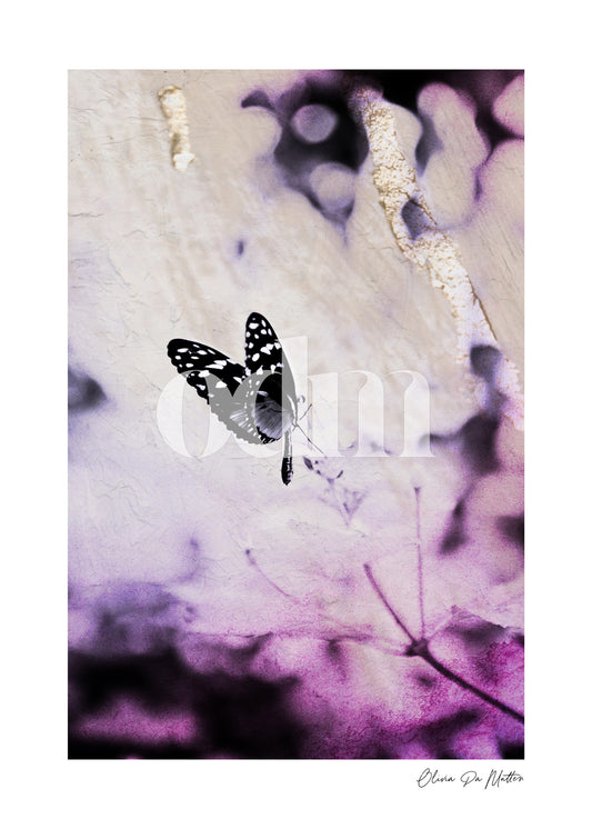 Schmetterling - Violett