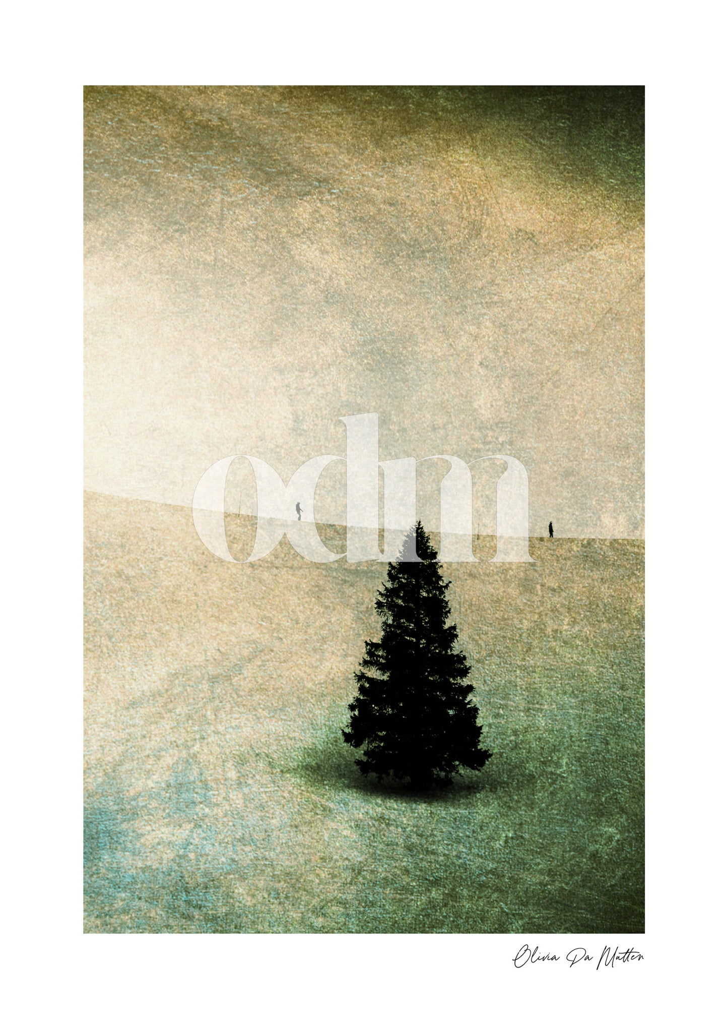 Oh Tannenbaum