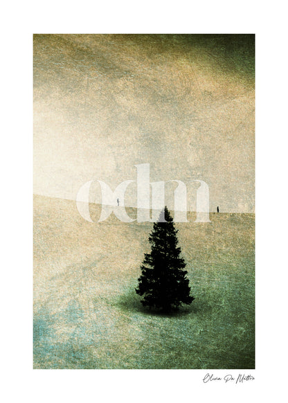 Oh Tannenbaum