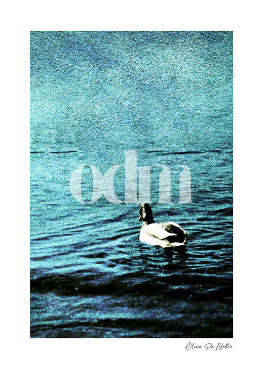 Nimm dir Zeit - Erpel
