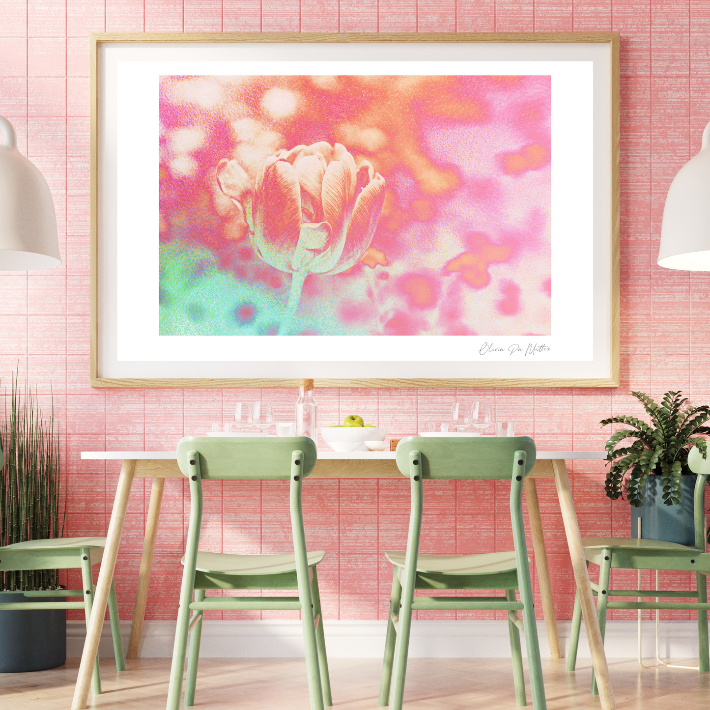 Tulpe - Pink
