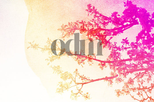 Apfelbaum-Pink-Orange