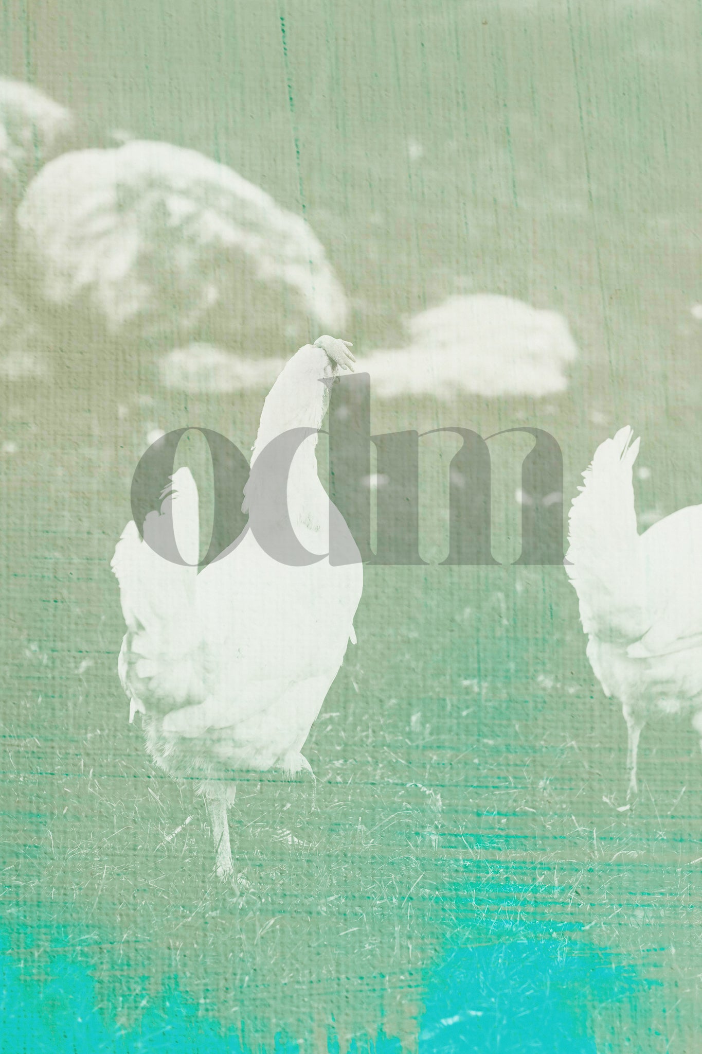 Huhn 0.6
