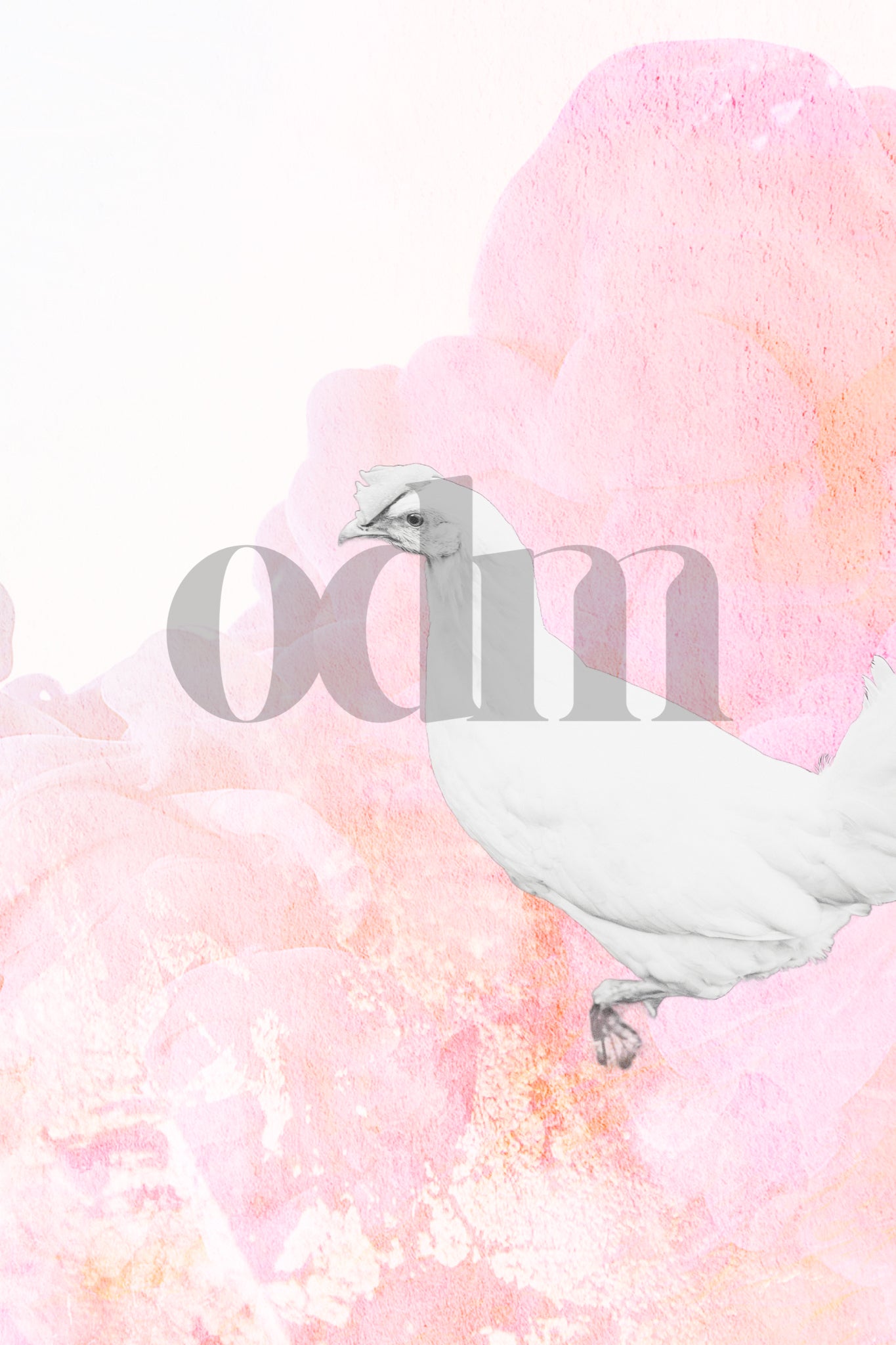 Huhn 0.5