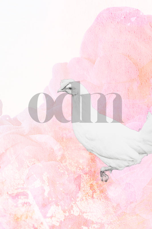 Huhn 0.5