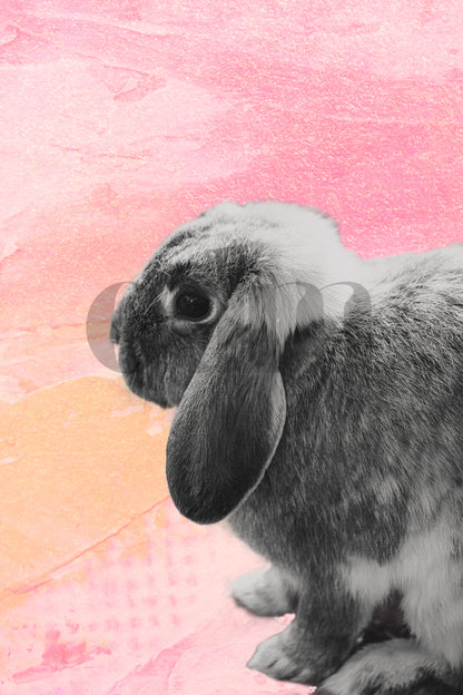 Osterhase 0.6