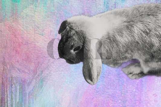 Osterhase 0.8
