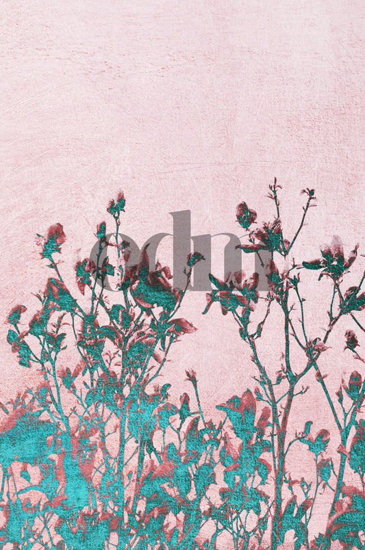 Magnolia-Rosa-Türkis