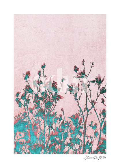 Magnolia - Rosa