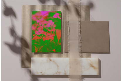 Hortensia - Pink - Grün