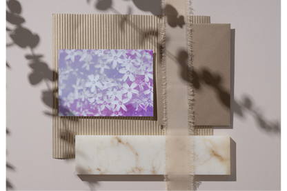 Polster - Phlox - Violett