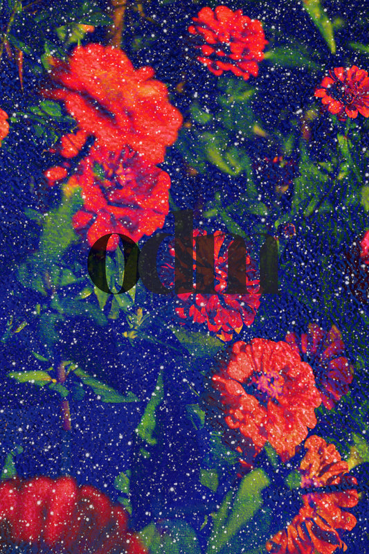 Zinnie - Rot