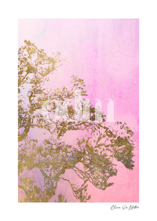 Magnolia - Rosa - Gold
