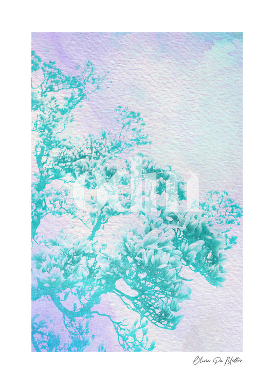 Magnolia - Lila