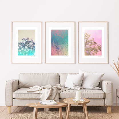 Magnolia - Rosa - Gold