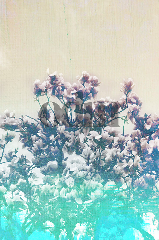 Magnolienbaum - Türkis