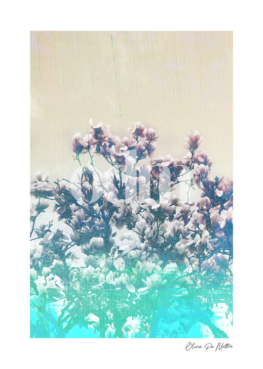 Magnolienbaum - Türkis