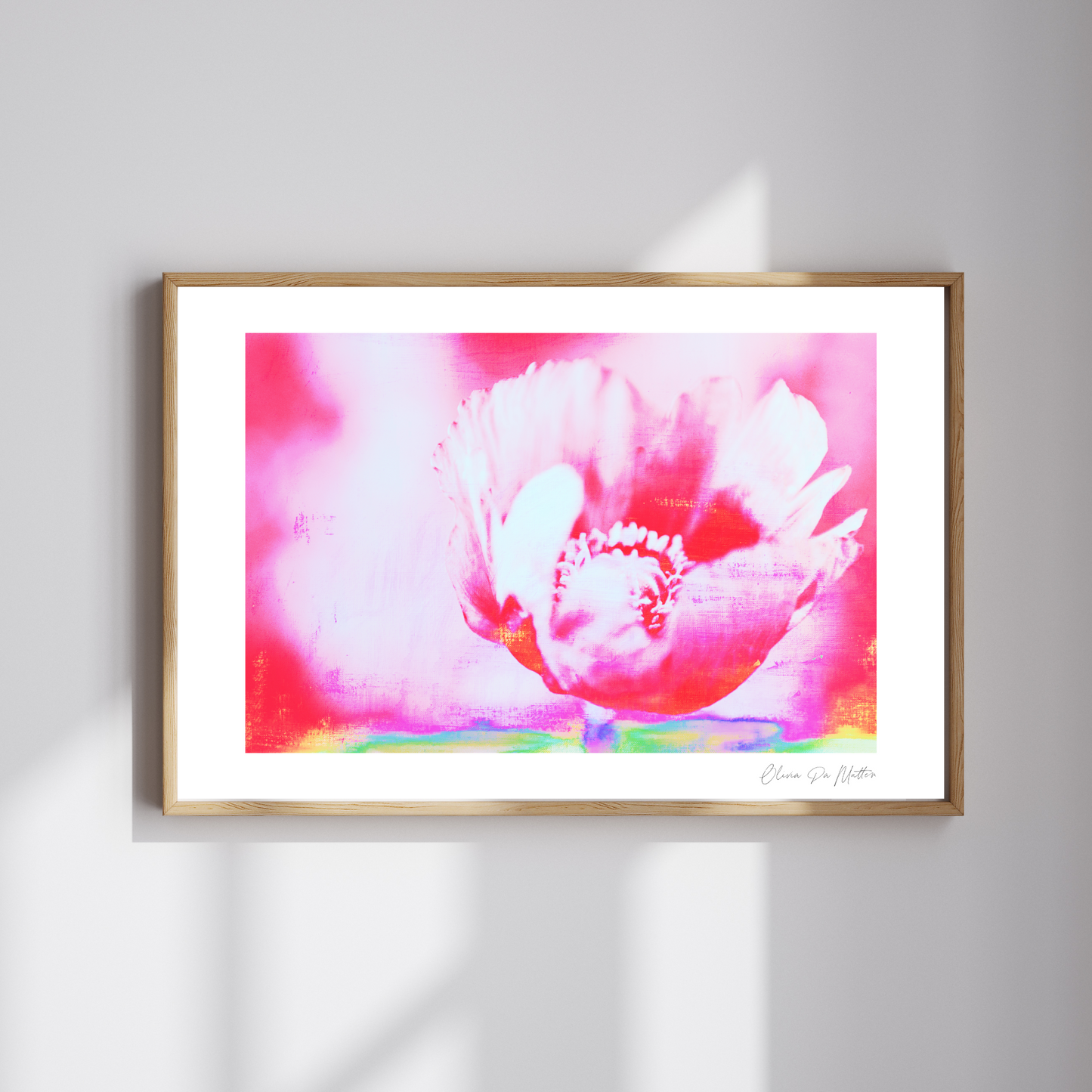 Mohn - Pink