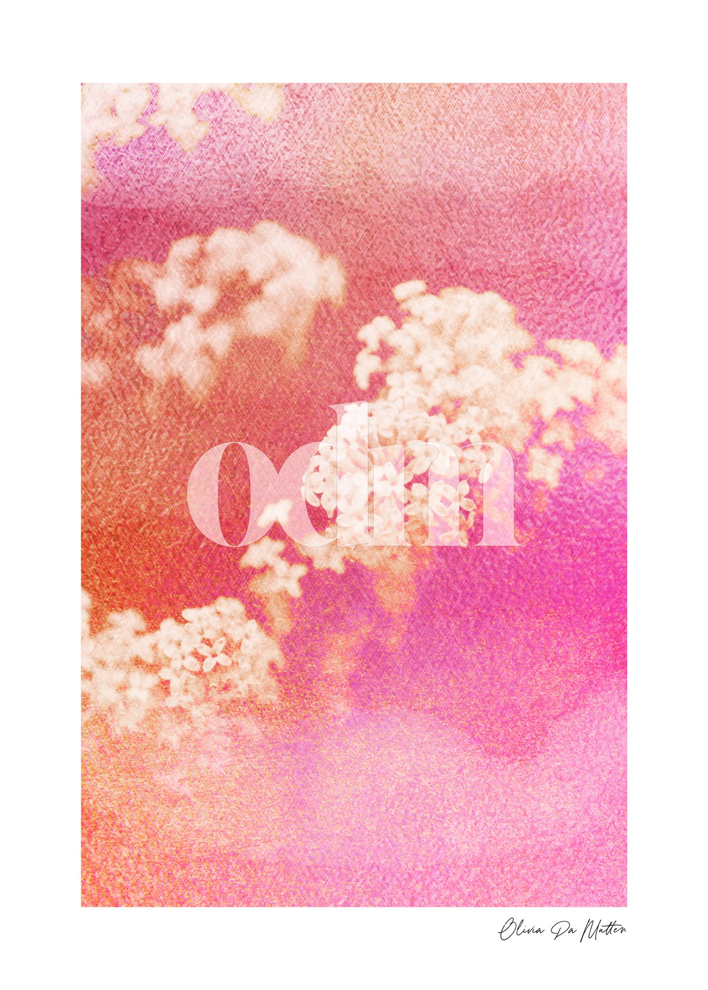 Flieder - Pink