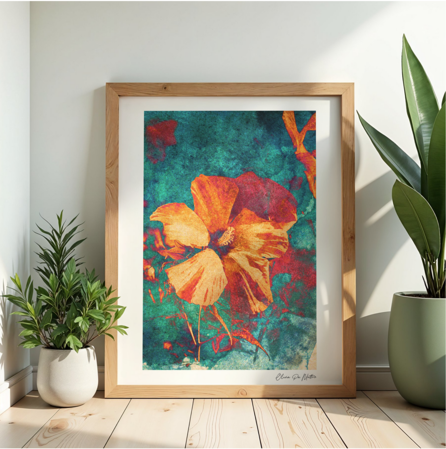 Hibiskus - Orange