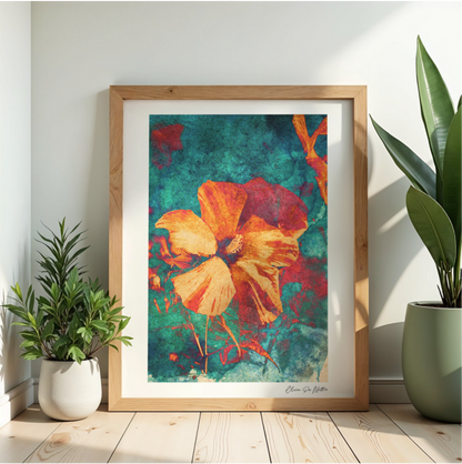 Hibiskus - Orange