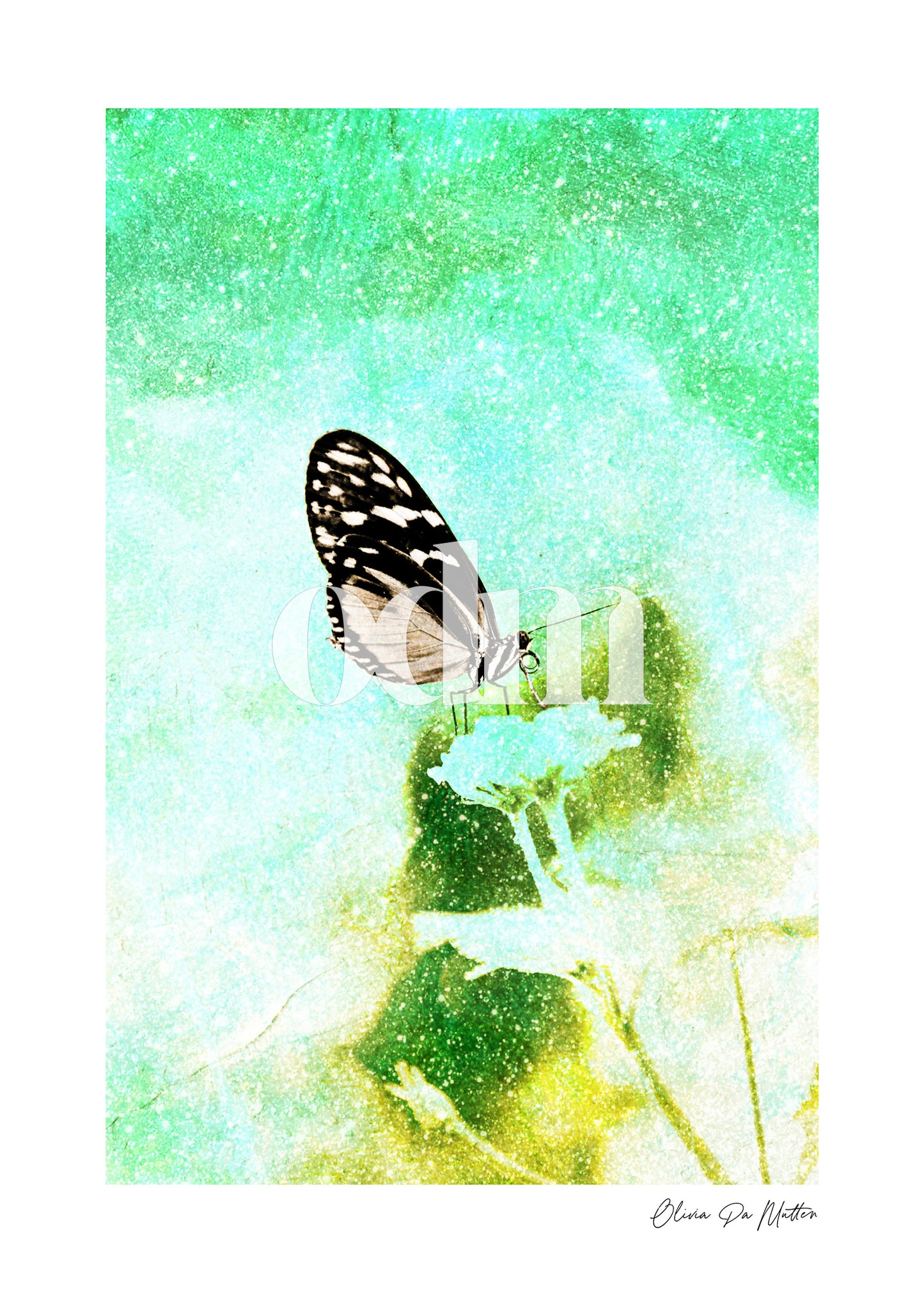 Schmetterling - Grün